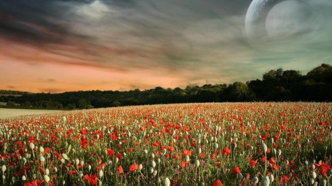 <b>支撑了我四年学费的男朋友，现在该分手吗?</b>